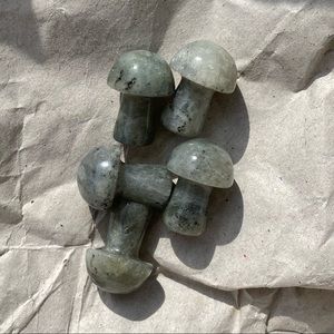 5 Carved Labradorite Mini Mushrooms 21mm